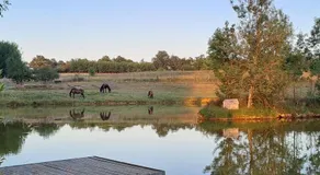 Domaine Ecoline - Image 5