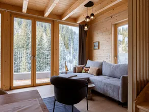 Modern chalet with infrared sauna - Image 2