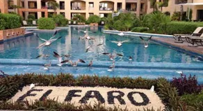 El Faro 404 Surf - Image 5