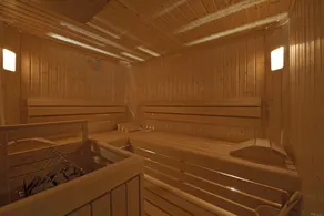 Luxurious chalet for winter and summer holidays - Image 3