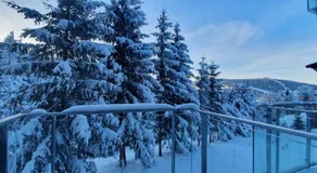 Apartmán Nerudovka D 104, Finská sauna, garážové stání - Image 2