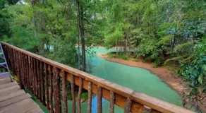 Waterfront Treehouse in a Magical Forest - Image 5