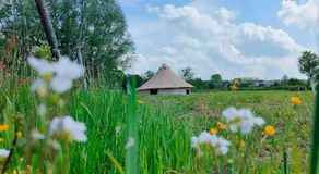 Lagom - Logeren in 't groen - Image 5