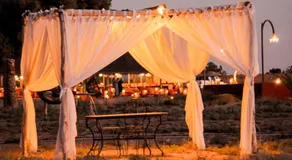 Gorgeous Luxury Camp - Image 3