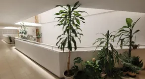 Alojamiento ENTERO en Madrid, con ACCESO PRIVADO - Image 2