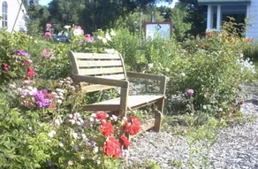 Lucy's Place - Image 4