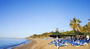 H Juan - Image 4