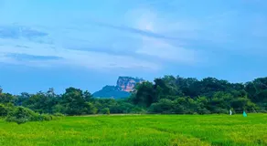 The Classic Crown Sigiriya - Image 4