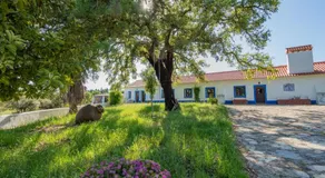 MyStay - Herdade do Vale da Abelheira - Image 5