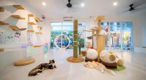 Orange Hotel - Image 5