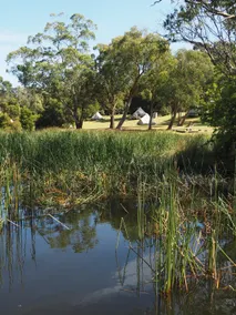 Iluka Retreat Glamping Village & Group Lodge Accommodation - Image 5