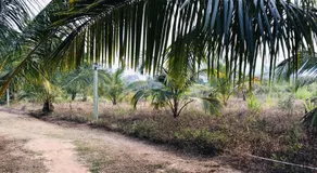 Wewlekam Safari Resort - Image 3