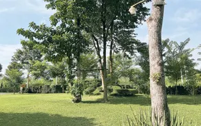 Raiyaa Farmstay | ไร่หญ้าฟาร์มสเตย์ แก่งกระจาน - Image 3