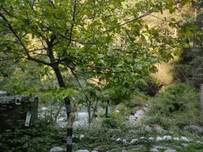 Cosy and comfortable stay next to river lato - Image 5