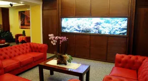 Hotel Grillo Verde - Image 4