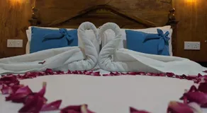 Ella Nest View Homestay - Image 2