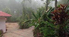 Dreams home estate stay coorg B - Image 4