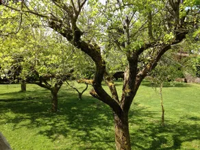 Beautiful Holiday Home in Ardea with Garden - Image 4