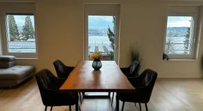 Seeblick Wohnung in Wollishofen - Image 4
