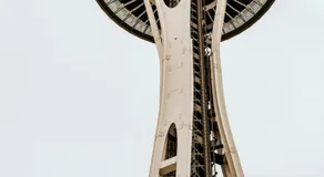 Tacoma GL - Image 3