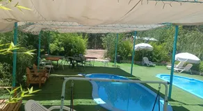 Las palmeras de Colbún - Image 3