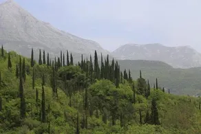 BELAIR Rooms Montenegro - Image 5