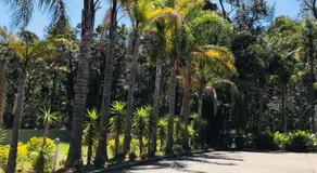 Mollymook Paradise Haven Motel - Image 5