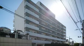 Daffitto Mitaka - Image 4