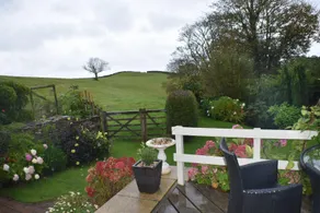 Frogwell - Image 4