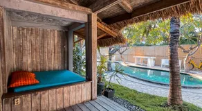 Coconut Dream - Image 4