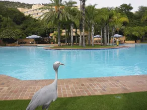 Soho Hotel & Casino at Sun City - Image 3