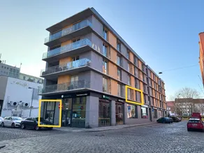 Veleslaveenka - Spacious Apartment in Pilsen Old Town - Image 3