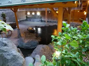 Yudanaka Tawaraya Ryokan - Image 3