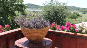 Apartman Nikol - Image 5