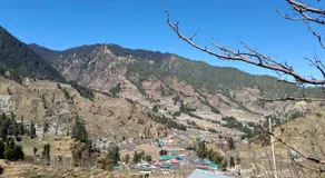 Hotel White Rock Janjehli - Image 3