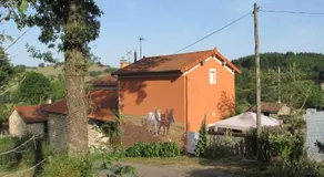La vache sur le toit - Image 3