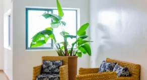 Dar Makai Surf Hotel - Image 3
