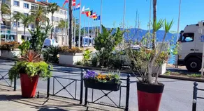 Appartement cosy La Seyne-sur-Mer 55m² avec jardin - Image 4