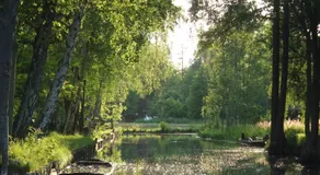 Pension Am Holzgraben - Image 5