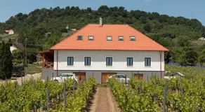 Somló Kolonics Kúria - Image 4