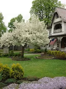 ROCKING HORSE INN - BED AND BREAKFAST - Image 4