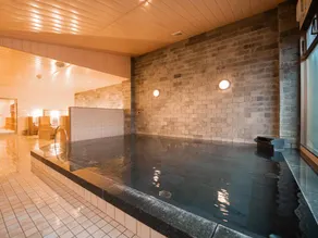 Fuji Matsuzono Hotel - Image 2