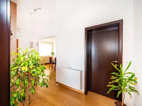Delightful Apartment in Radovin with Garden - Image 4