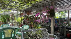 Garden Hostel - Image 2