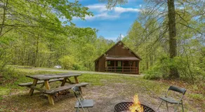 Cabine-Salle de bain privée-Standard-Pinecrest Cabin - Image 5