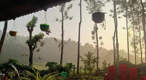 Dreams home estate stay coorg B - Image 3