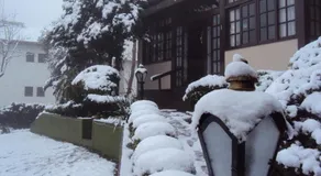 Pousada Gardenia Guest House - Image 4