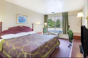 Ashland Studio Inn By OYO Richmond North near Kings Dominion - Image 1