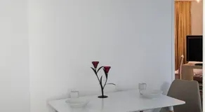 Apartments in Vienna suburbs - 40 min from Vienna city center - Image 2