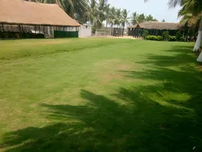 grand oceana beach resort - Image 4